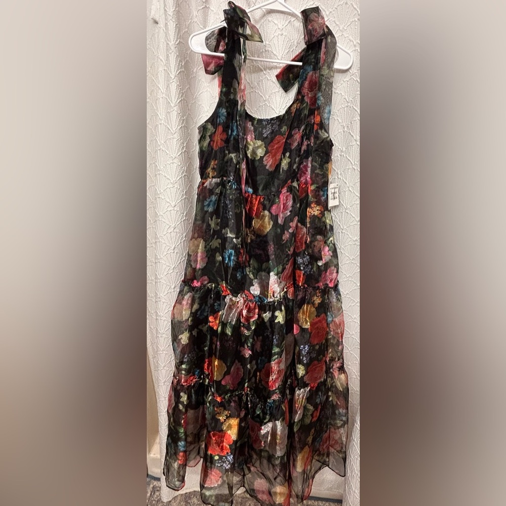 Chelsea28 Black and Multicolor Floral organza Maxi Dress - Picture 5 of 9